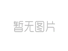 Lei Jun：在未来5年内，在中央技术的研发中投资了